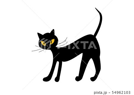Black Cat With Yellow Eyes Isolate On White のイラスト素材