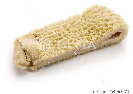 ハチノス 54962121