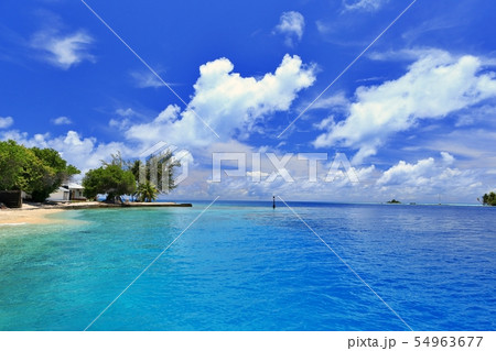 南の島の青い海の風景 54963677