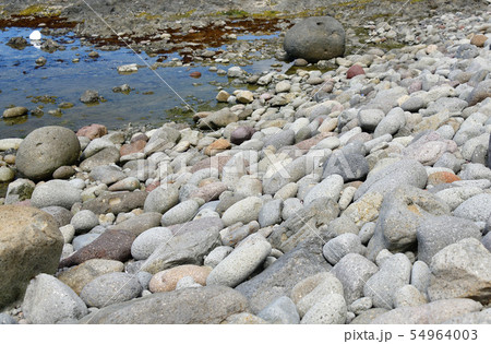 北海道せたな町大成区長磯海岸で丸い石が打ち寄せている渚の夏の風景を撮影 北海道せたな町大成区長磯海岸で丸い石が打ち寄せている渚の夏の風景を撮影 54964003