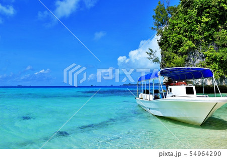 南国のビーチと白いボート 54964290