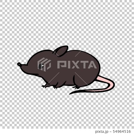 Mouse (Brown) Mouse (Brown) 54964516