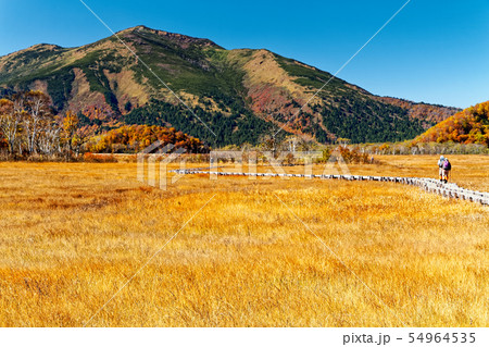 草紅葉の尾瀬ヶ原から見る至仏山の写真素材