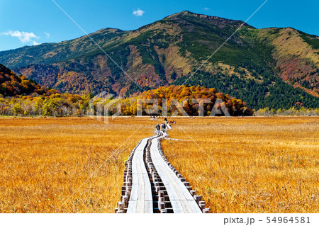 草紅葉の尾瀬ヶ原から見る至仏山の写真素材