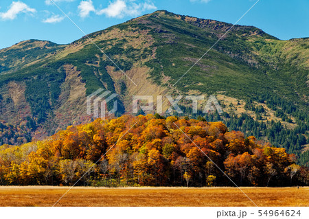 草紅葉の尾瀬ヶ原から見る至仏山の写真素材