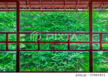 7月の旧竹林院 7月の旧竹林院 54964852