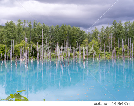 北海道 青い池 北海道 青い池 54964855