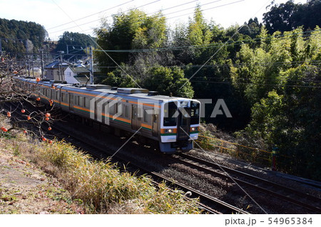東海道線 211系 金谷 東海道線 211系 金谷 54965384