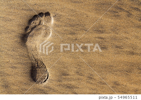 Single human barefoot footprint of left foot  54965511
