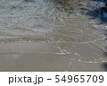 砂浜 54965709