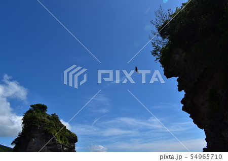 空 54965710