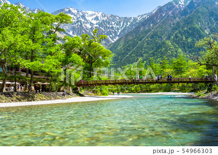 《長野県》新緑の上高地・河童橋《新緑最盛期》 《長野県》新緑の上高地・河童橋《新緑最盛期》 54966303
