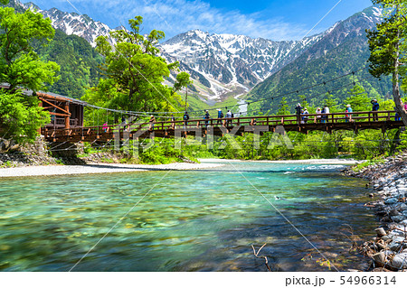 《長野県》新緑の上高地・河童橋《新緑最盛期》 54966314