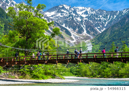 《長野県》新緑の上高地・河童橋《新緑最盛期》 54966315