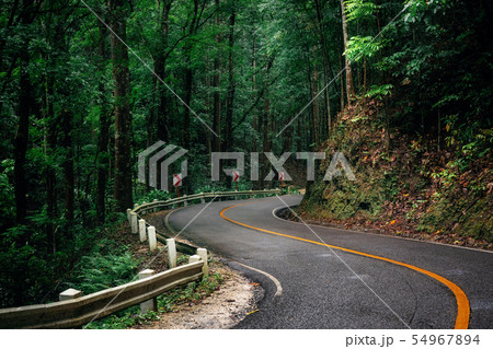 Winding road in Bohol, Philippines Winding road in Bohol, Philippines 54967894