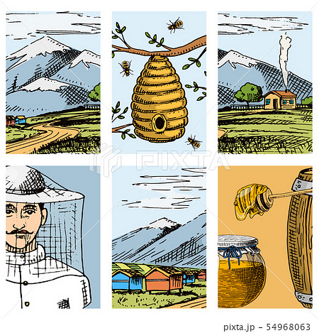 Apiary farm cards hand drawn vintage honey making farmer beekeeper illustration nature product by Apiary farm cards hand drawn vintage honey making farmer beekeeper illustration nature product by 54968063