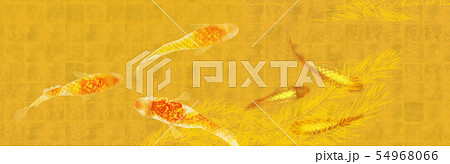 高級メダカイラスト 54968066