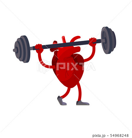 Sports fitness design concept of human heart organ Sports fitness design concept of human heart organ 54968248