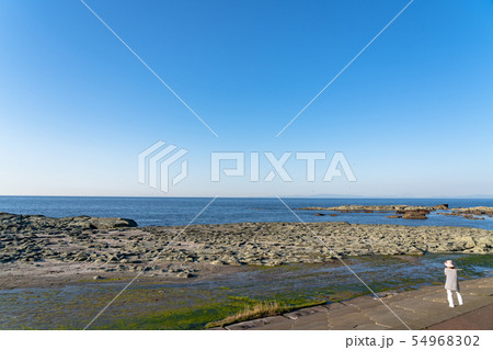 千畳敷海岸 風景 五能線 青森県 千畳敷海岸 風景 五能線 青森県 54968302