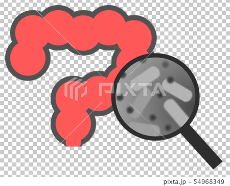 擴張腸道細菌 擴張腸道細菌 54968349