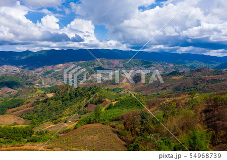 Aerial view of forest destroyed Aerial view of forest destroyed 54968739