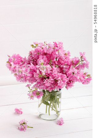 Bouquet of pink matthiola flowers 54968818