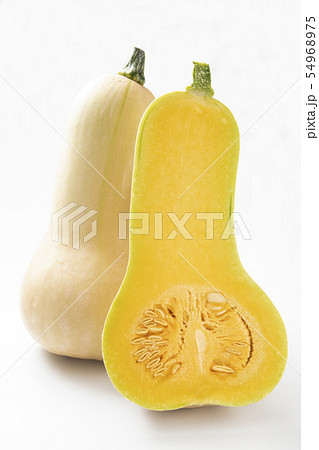 バターナッツ4 バターナッツ4 54968975