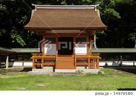 大山祇神社　下津社本殿　しまなみ海道　大三島　愛媛県今治市 54970580