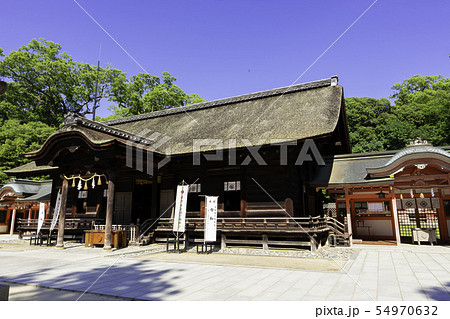 大山祇神社　拝殿　しまなみ海道　大三島　愛媛県今治市 54970632