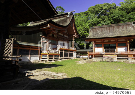 大山祇神社　本殿と上津社本殿　しまなみ海道　大三島　愛媛県今治市 54970665