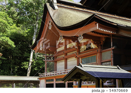 大山祇神社　本殿　しまなみ海道　大三島　愛媛県今治市 54970669