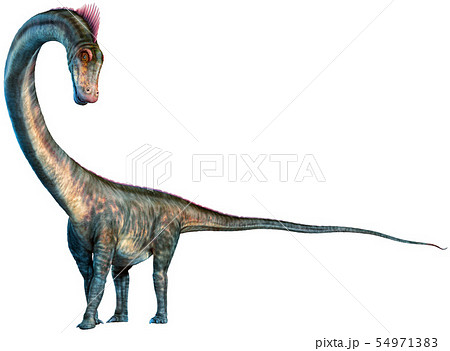 Barosaurus from the Jurassic era 3D illustration 54971383