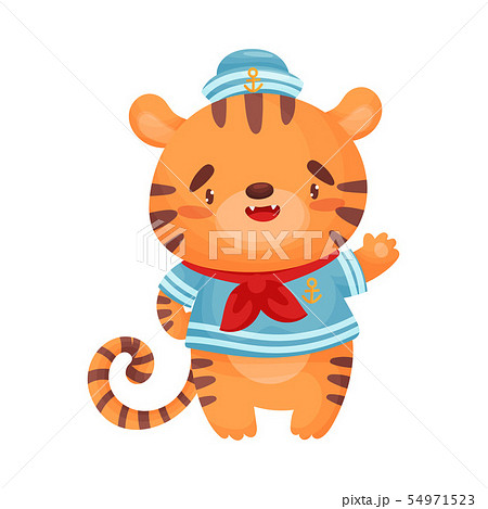 Cute tig sailor. Vector illustration on white background. Cute tig sailor. Vector illustration on white background. 54971523