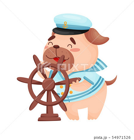 Cute pug sailor. Vector illustration on white background. 54971526