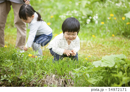 自然の中で遊ぶ子どもたちの写真素材
