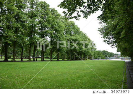 ヴィーゲラン公園風景 ヴィーゲラン公園風景 54972975