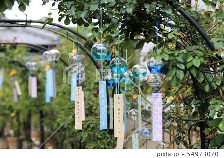 夏の風物詩 風鈴 夏の風物詩 風鈴 54973070