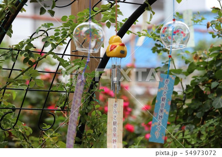 夏の風物詩 風鈴 夏の風物詩 風鈴 54973072