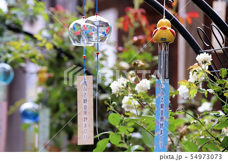 夏の風物詩 風鈴 夏の風物詩 風鈴 54973073