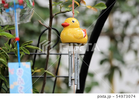夏の風物詩 風鈴 夏の風物詩 風鈴 54973074