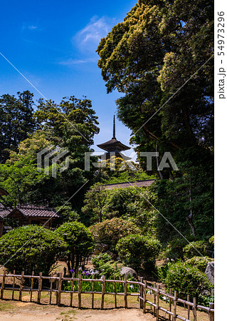 (石川県)能登の至宝 妙成寺 庭園から眺める五重塔 (石川県)能登の至宝 妙成寺 庭園から眺める五重塔 54973296