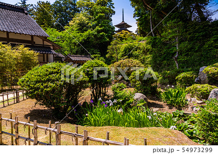 (石川県)能登の至宝 妙成寺 庭園から眺める五重塔 (石川県)能登の至宝 妙成寺 庭園から眺める五重塔 54973299