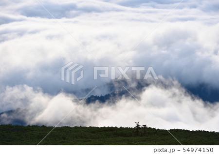 山を飲み込む雲海(北海道) 山を飲み込む雲海(北海道) 54974150