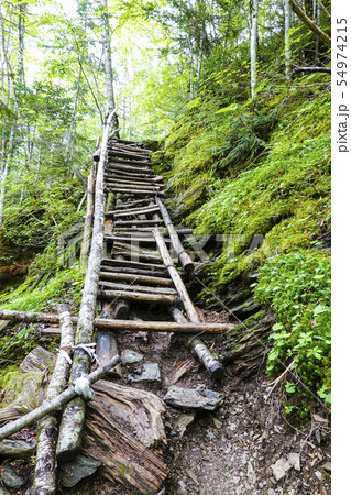 塩見岳登山道(縦) 塩見岳登山道(縦) 54974215