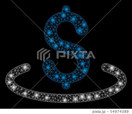 Bright Mesh Carcass Dollar Location with Light Spots 54974389