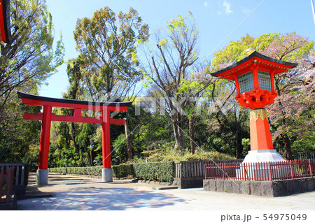 井草八幡宮 54975049