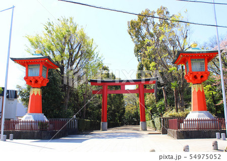 井草八幡宮 54975052