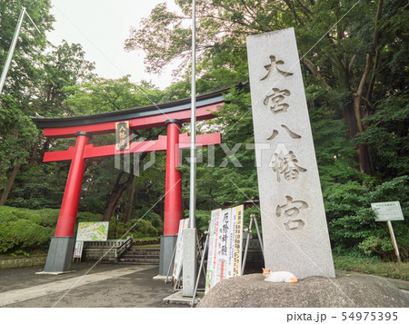 東京都　大宮八幡宮 54975395