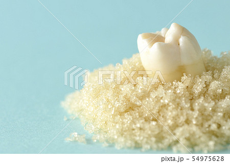 歯を大切に！ 54975628