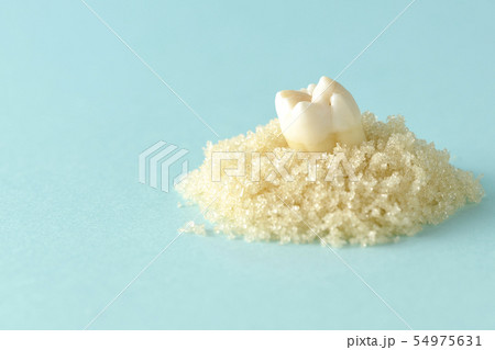 歯を大切に！ 54975631